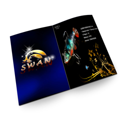 swan swan